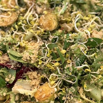 Quinoa-Salat mit gerösteten Rosenkohlhälften, Roter Bete und Sprossen